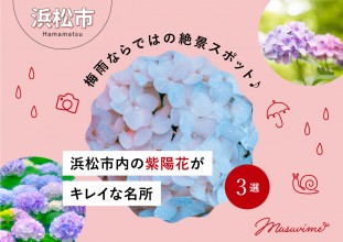 【浜松市】梅雨ならではの絶景スポット♪浜松市内の紫陽花（アジサイ）がキレイな名所3選